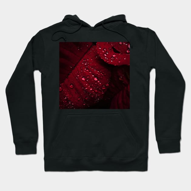 Red Leaf with Water Bubbles Hoodie by Merch House